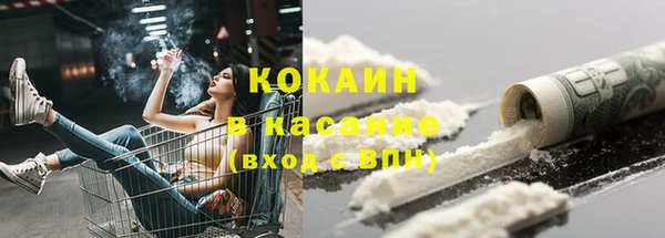 ГАЛЛЮЦИНОГЕННЫЕ ГРИБЫ Алексин