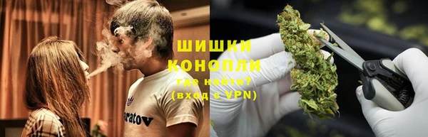 ГАЛЛЮЦИНОГЕННЫЕ ГРИБЫ Алексин