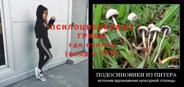 ГАЛЛЮЦИНОГЕННЫЕ ГРИБЫ Алексин