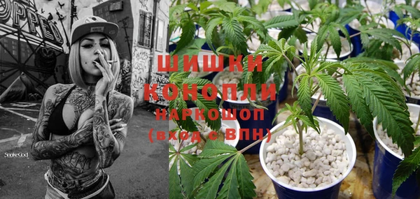 ГАЛЛЮЦИНОГЕННЫЕ ГРИБЫ Алексин