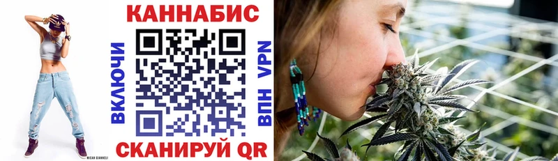 Марихуана сатива Карасук